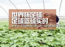 种植基地三