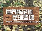 种植基地七