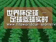 种植基地六