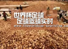 种植基地二