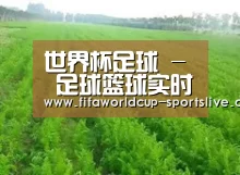 种植基地四