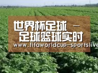 种植基地五(图1)