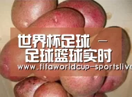 产品展示标题1