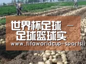 种植基地七(图1)