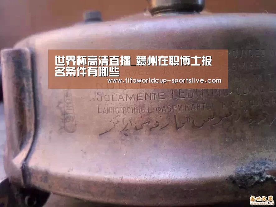 世界杯高清直播