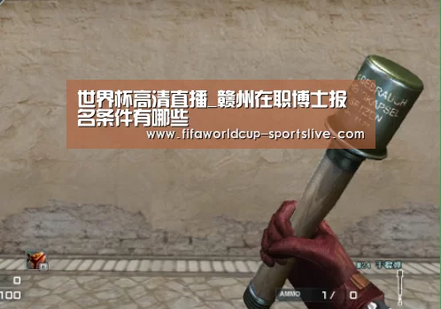 世界杯高清直播