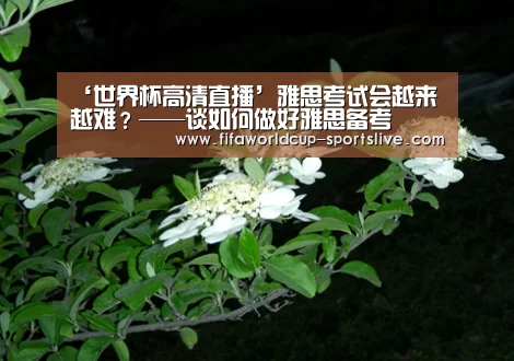 ‘世界杯高清直播’雅思考试会越来越难?——谈如何做好雅思备考(图2) 世界杯足球