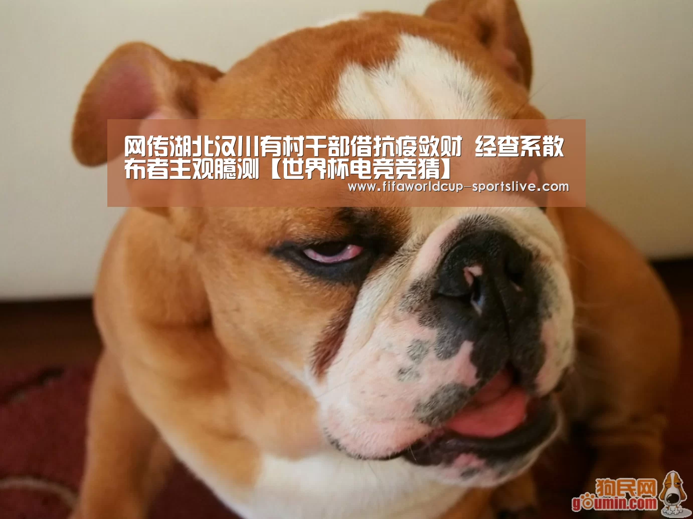 世界杯登录入口