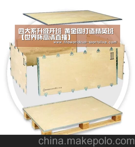 世界杯足球