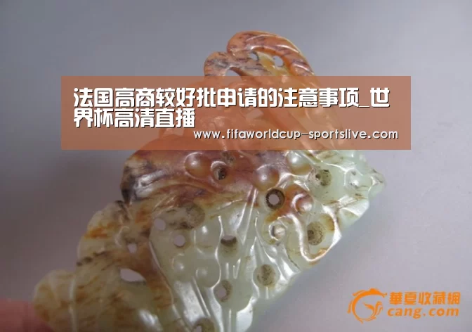 世界杯高清直播