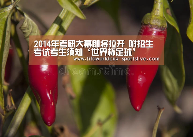 世界杯电竞竞猜