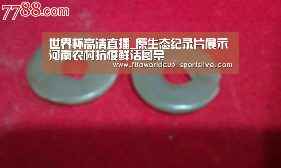 世界杯登录入口